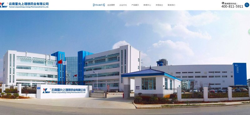 云南网站建设：为您的品牌构建线上家园